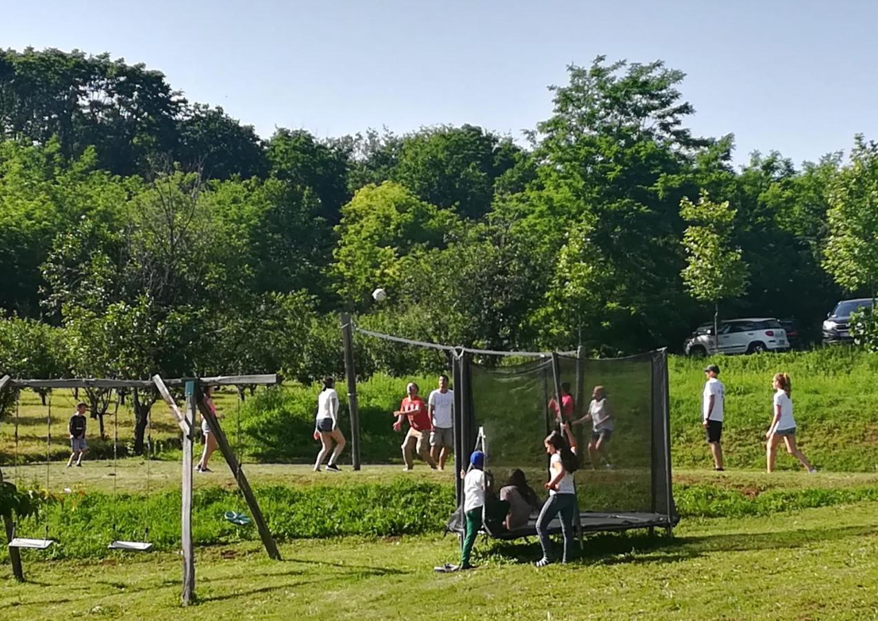 Vila Davidovic-Fruska Gora Mandelos Exterior foto