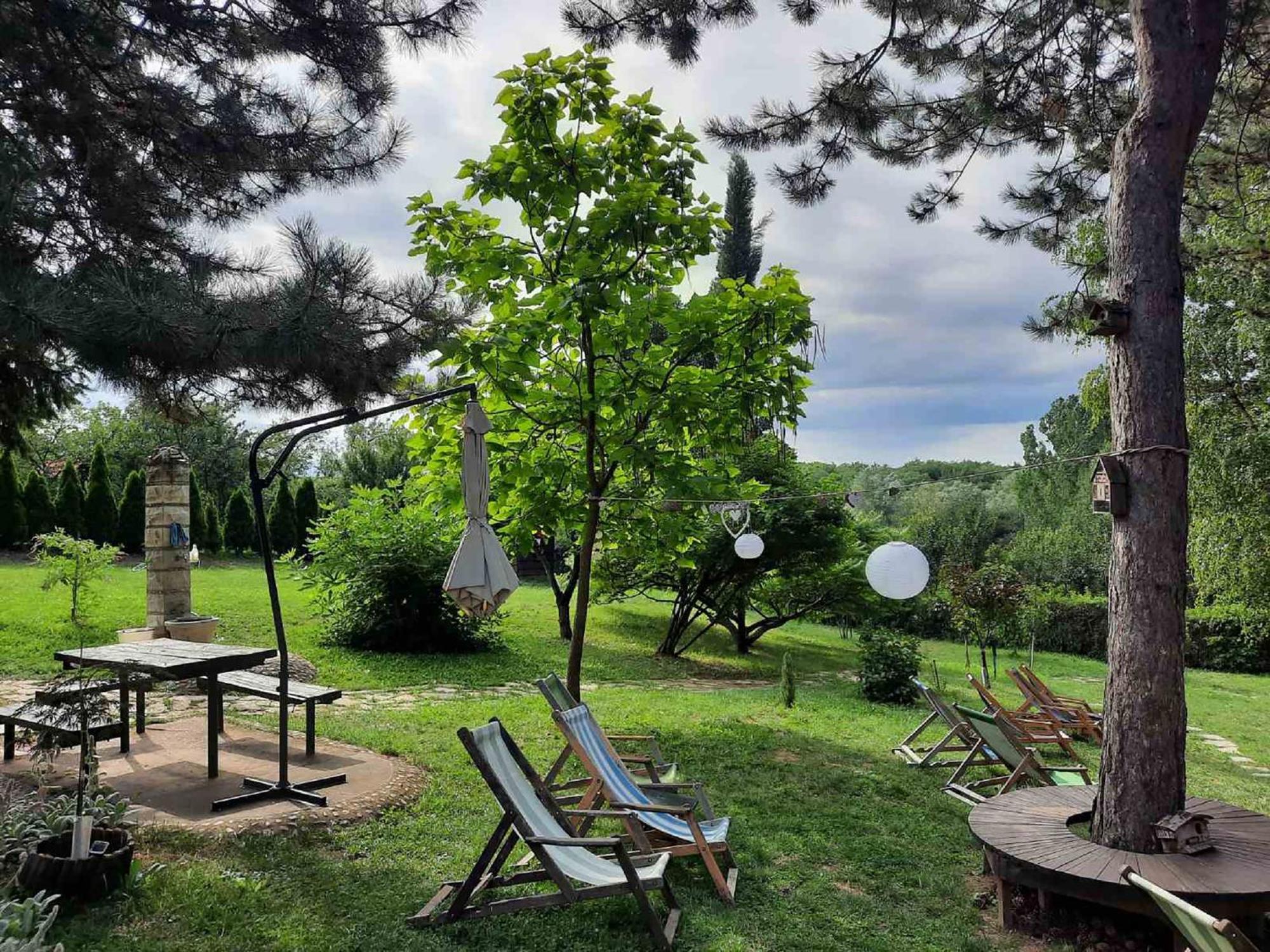 Vila Davidovic-Fruska Gora Mandelos Exterior foto