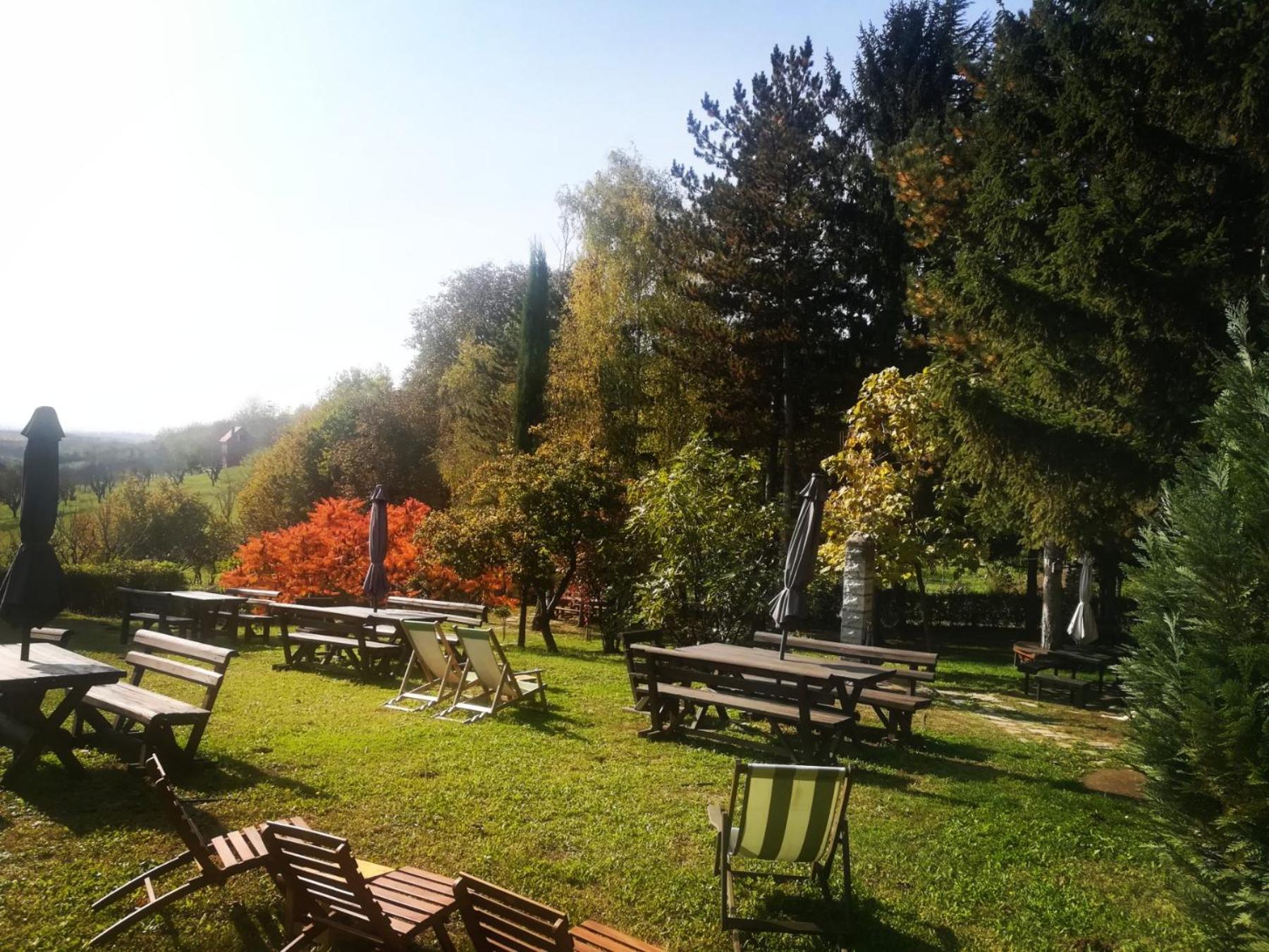 Vila Davidovic-Fruska Gora Mandelos Exterior foto